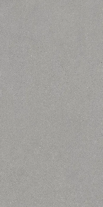 Grainstone Grey Fine Grain Naturale 60x120